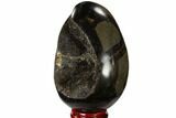 Septarian Dragon Egg Geode - Black Crystals #118745-1